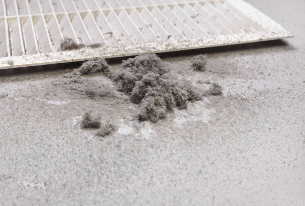 Best Dryer Vent Cleaning Services  in Brush Prairie, WA